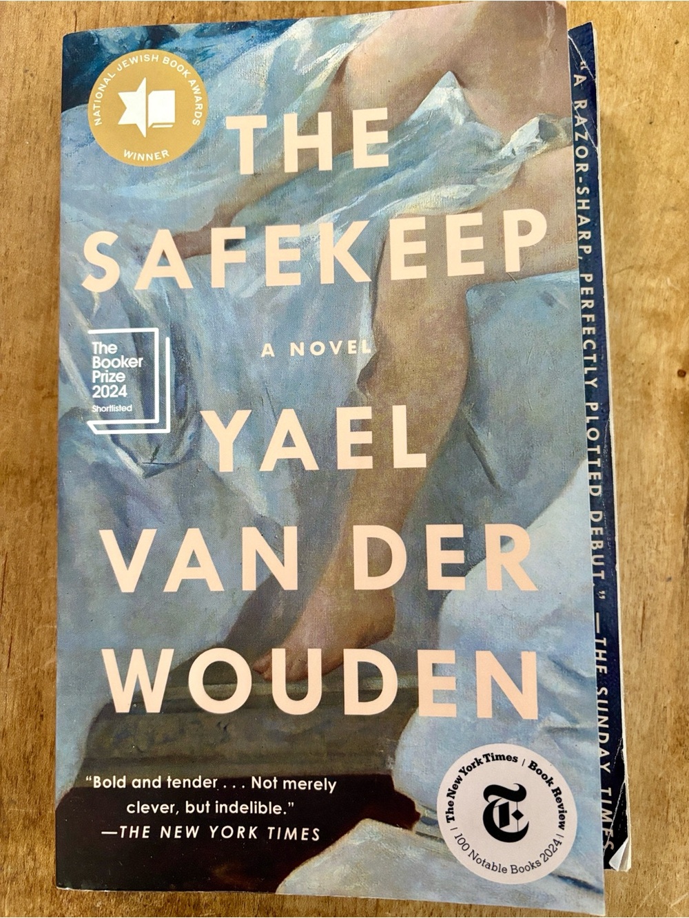 The Safekeep by Yael Van Der Wouden Shortlisted for Booker Prize 2024 NYTimes